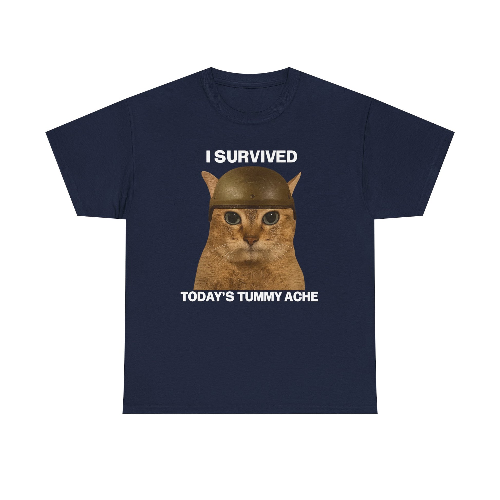 Tummy Ache Survivor Tee