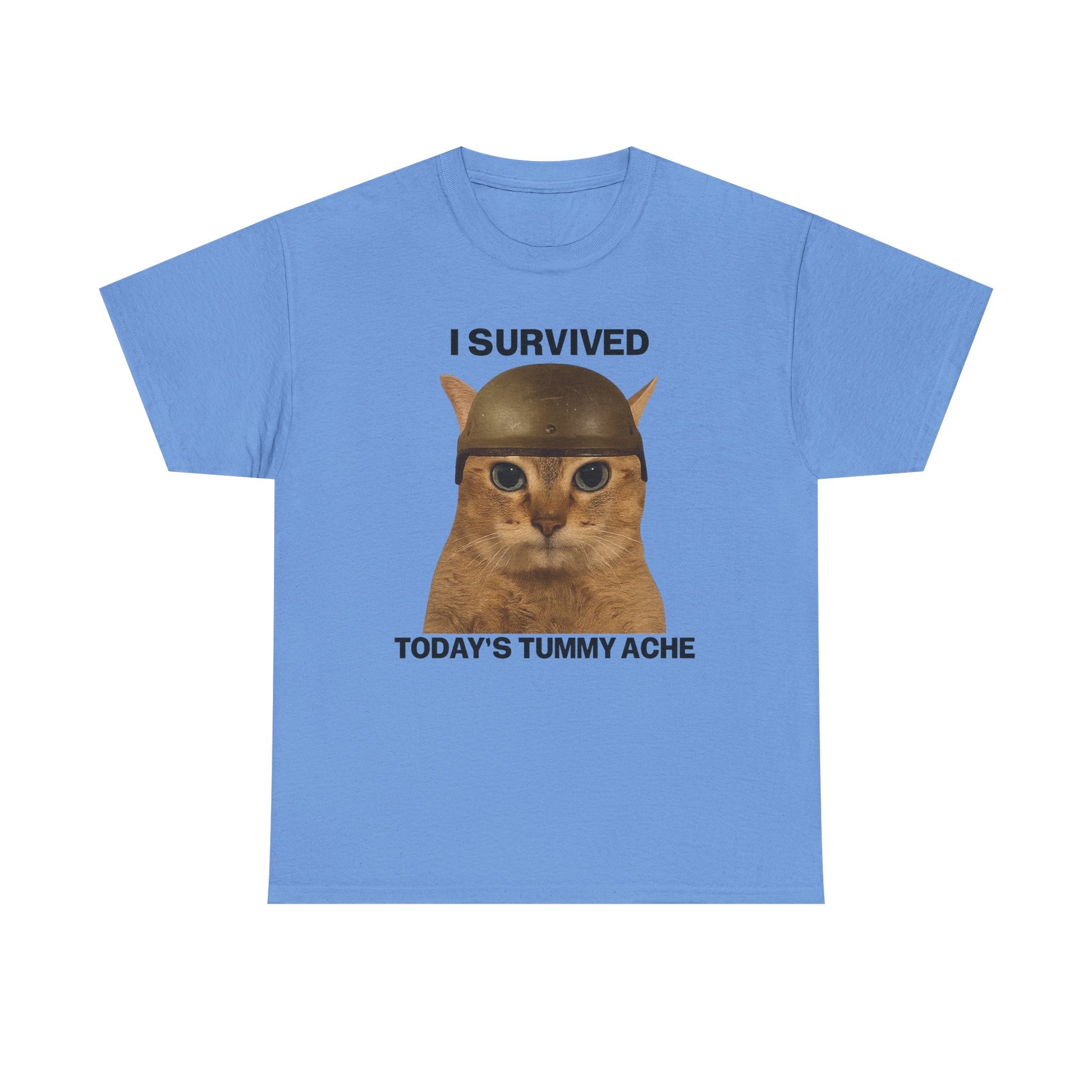 Tummy Ache Survivor Tee