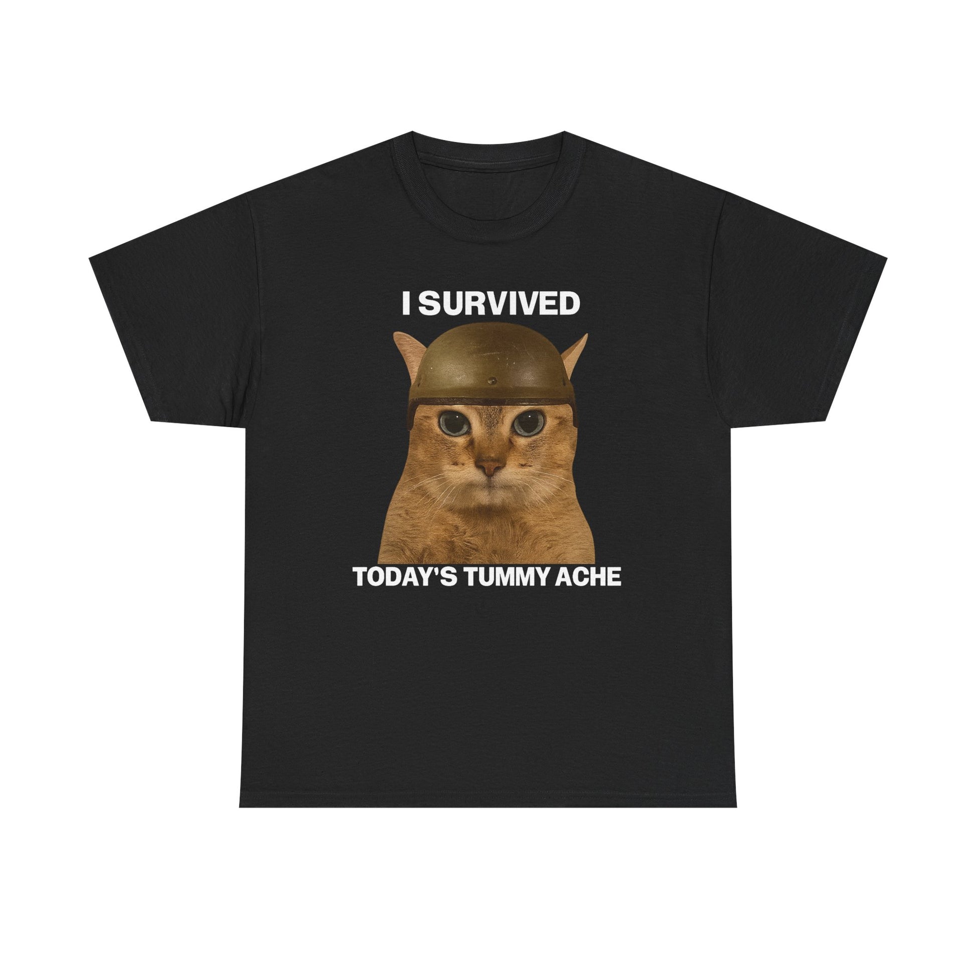 Tummy Ache Survivor Tee