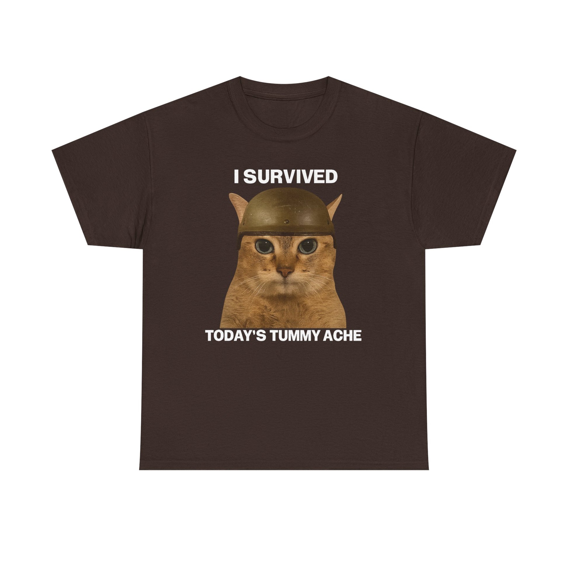 Tummy Ache Survivor Tee