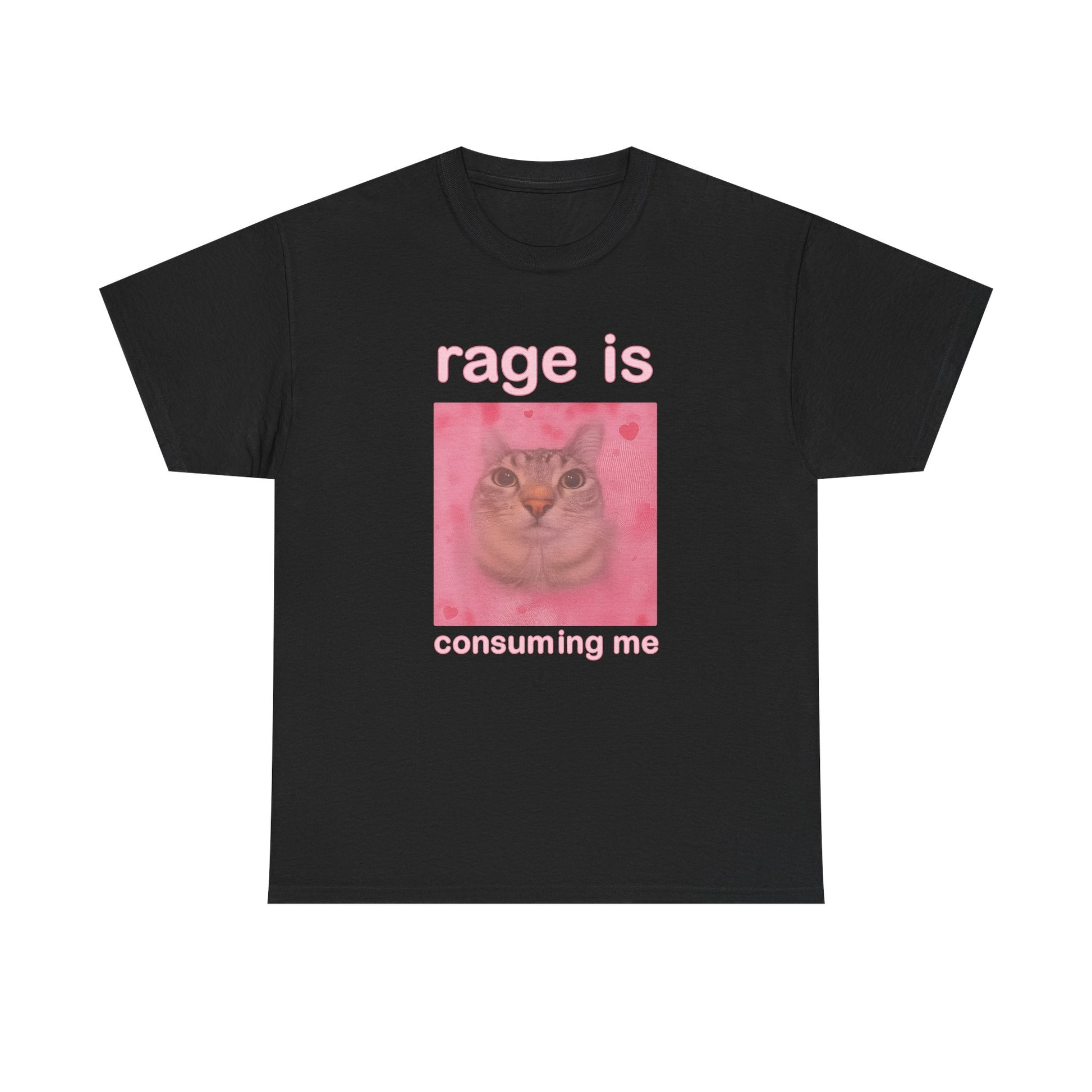 “Rage Is Consuming Me” Cat Tee