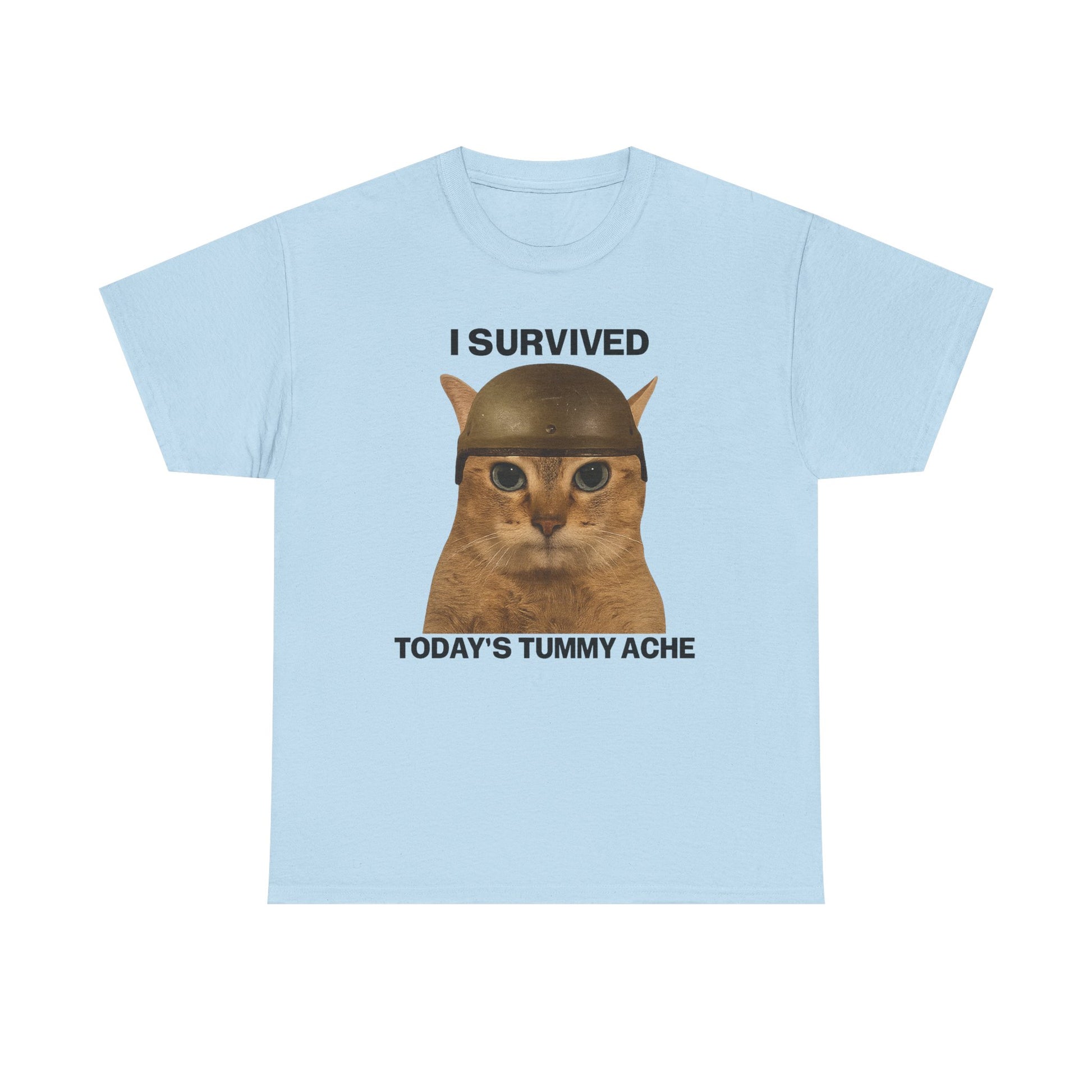 Tummy Ache Survivor Tee