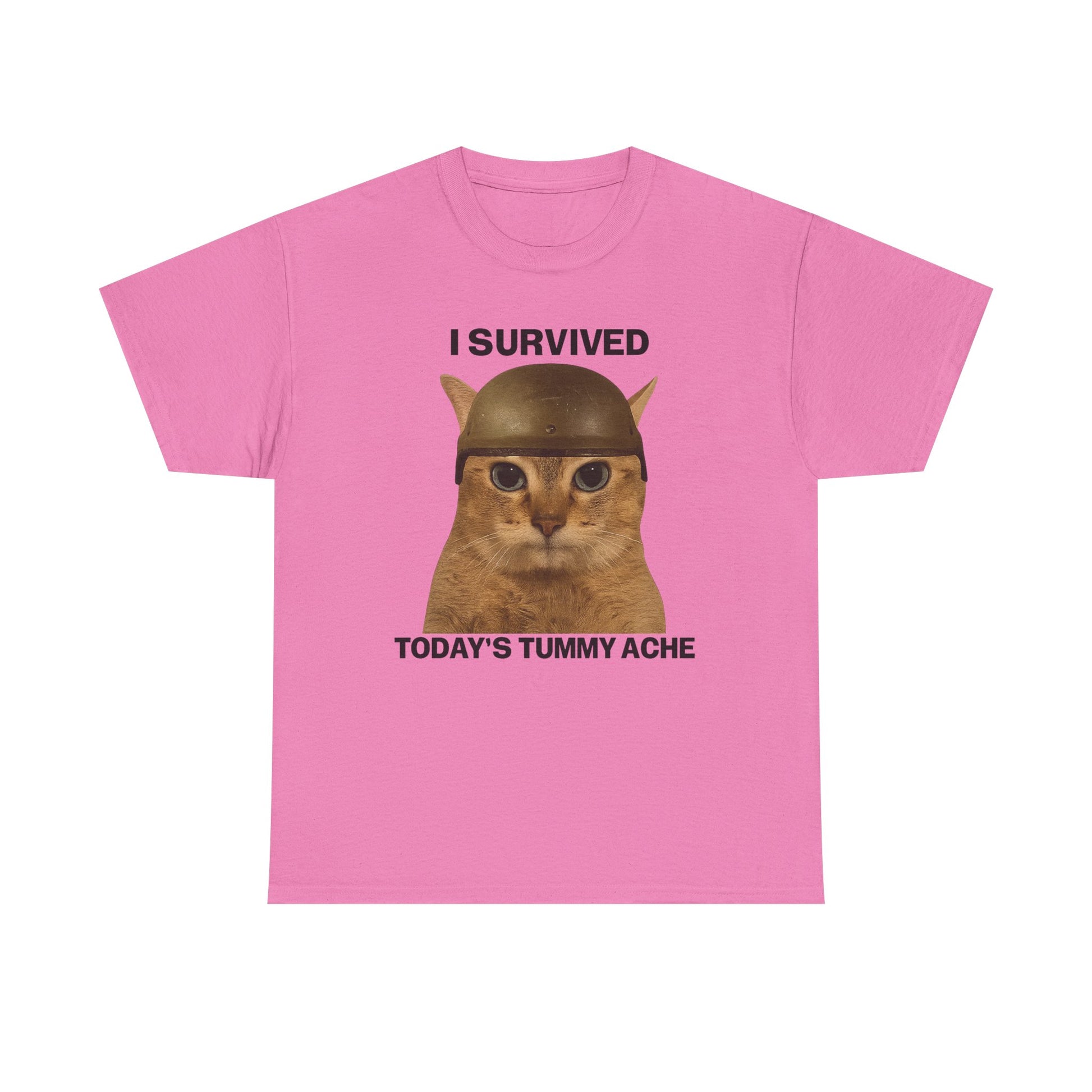 Tummy Ache Survivor Tee