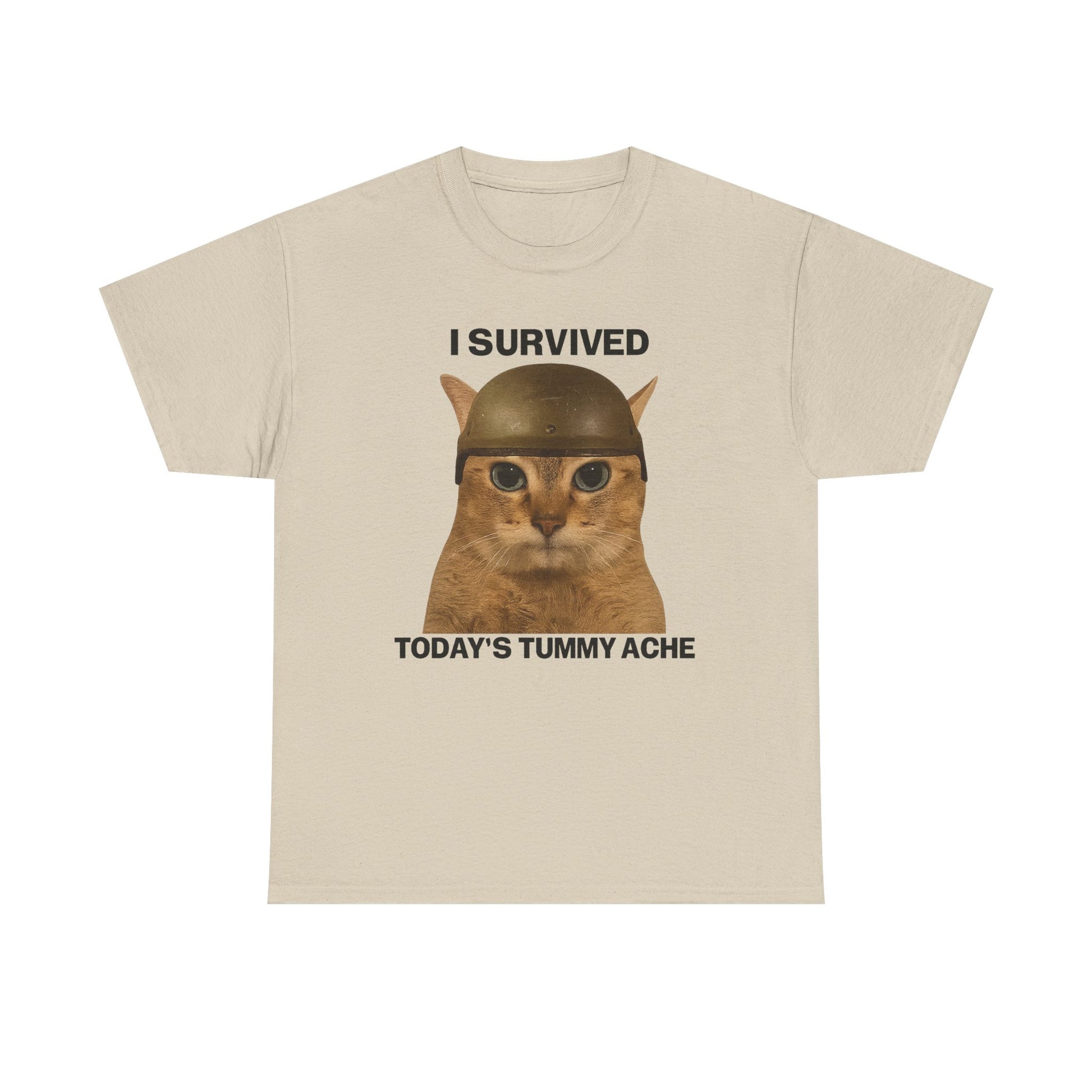 Tummy Ache Survivor Tee