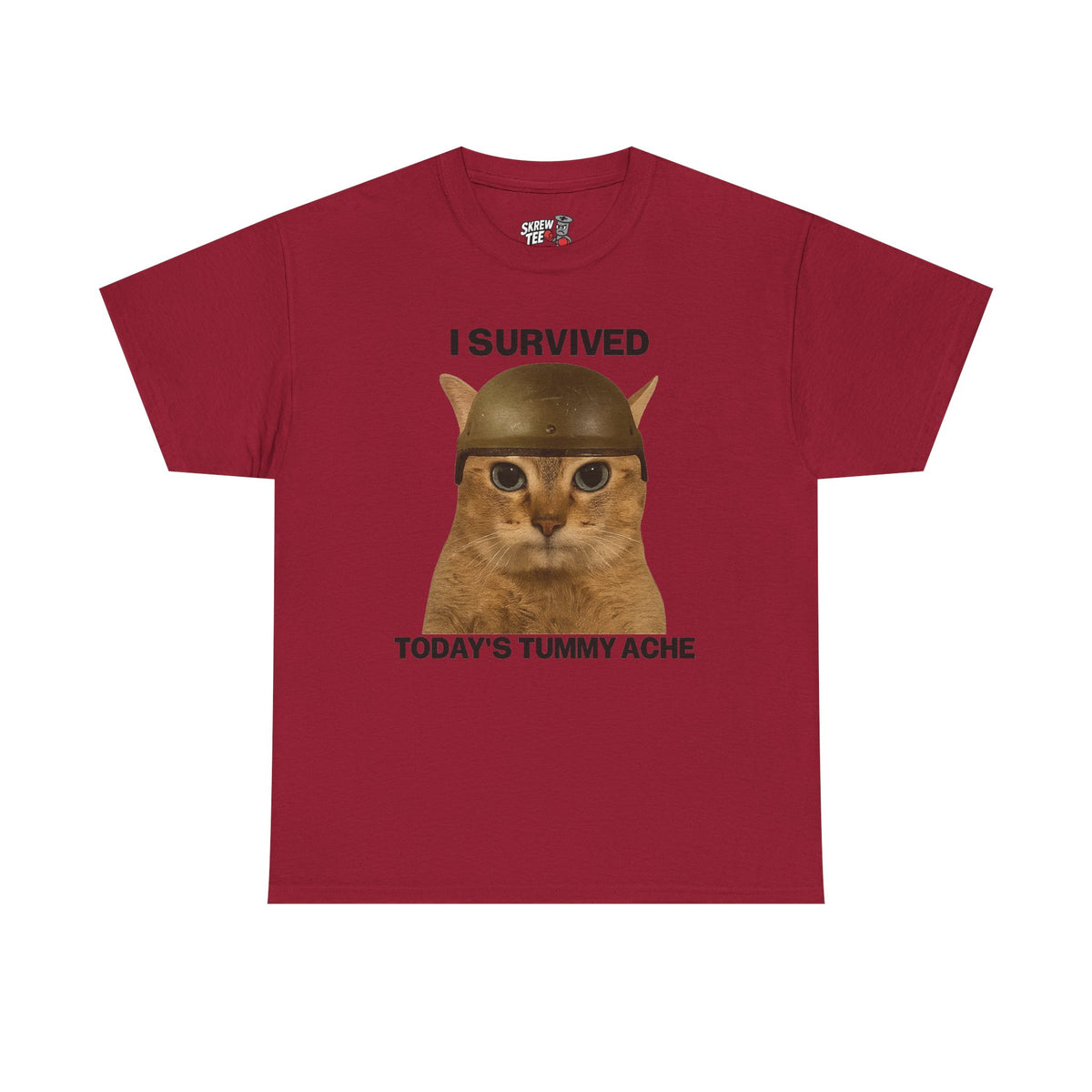 Tummy Ache Survivor Tee