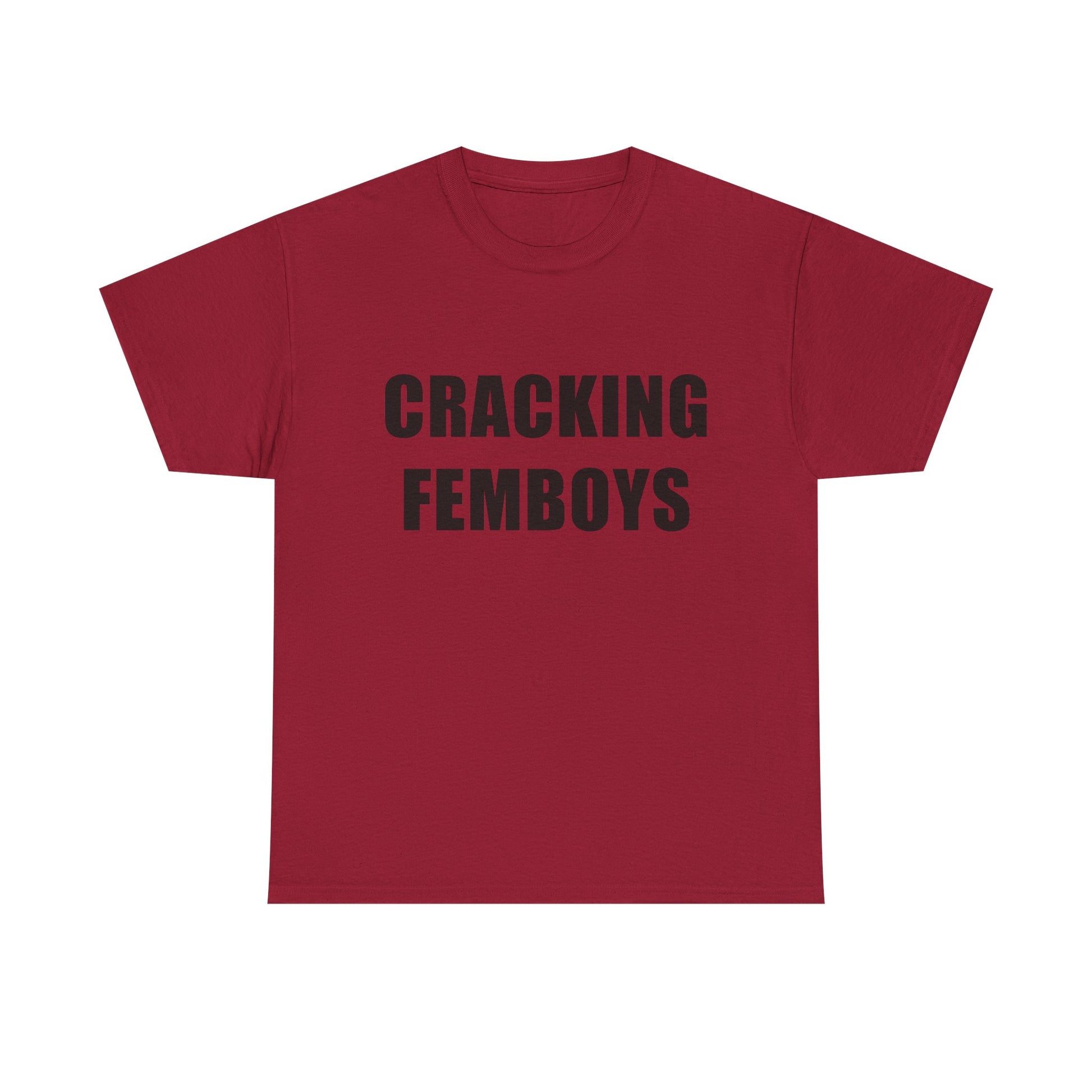 Cracking Femboys T-shirt