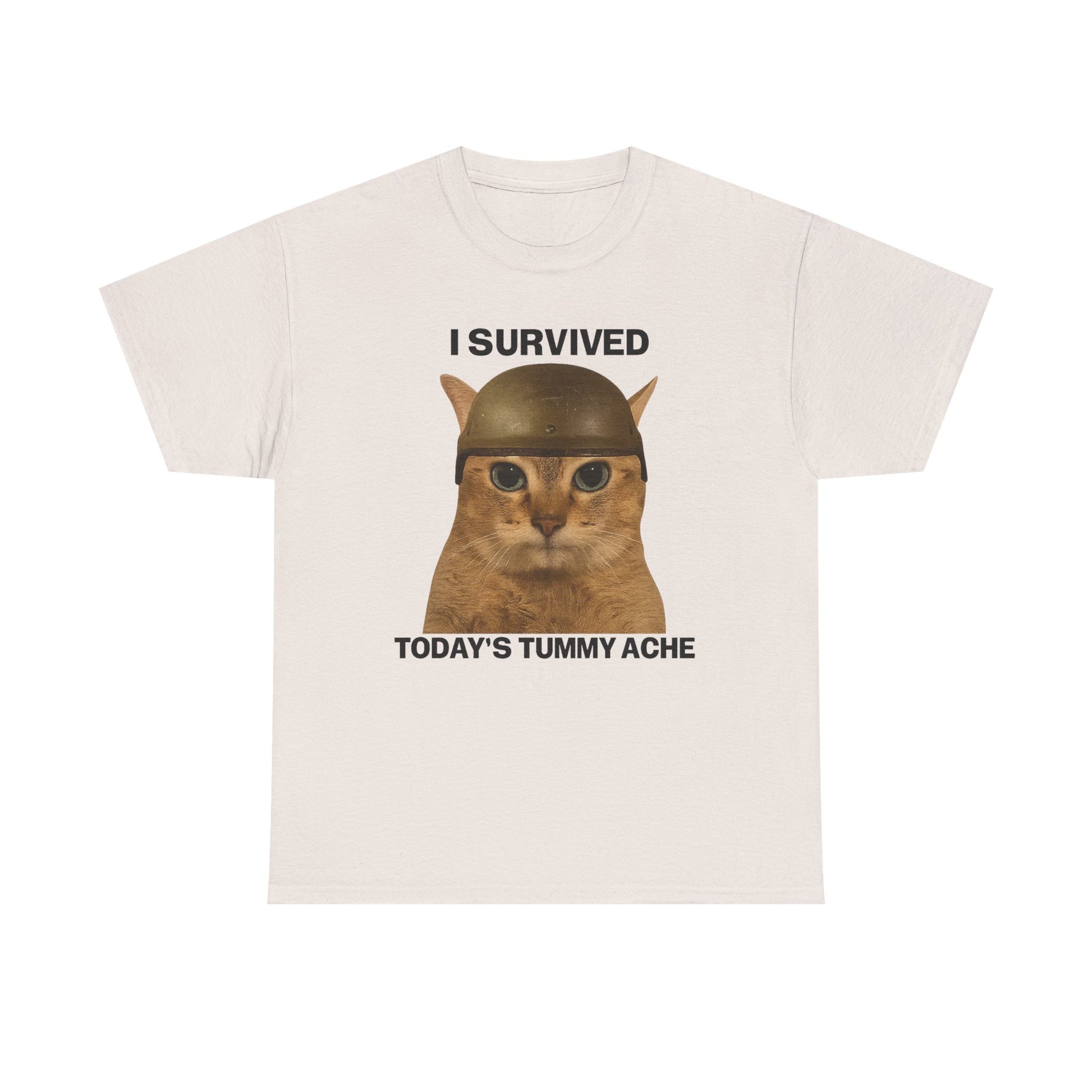 Tummy Ache Survivor Tee