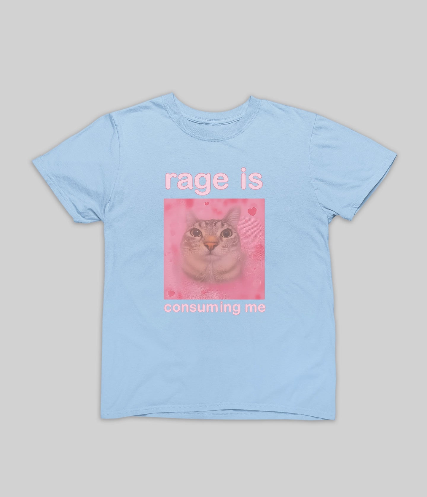 “Rage Is Consuming Me” Cat Tee